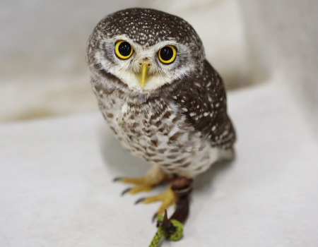 もっと! 水の惑星紀行