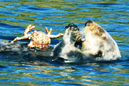 もっと! 水の惑星紀行