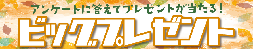 ビッグプレゼント