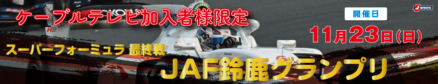 スーパーフォーミュラ最終戦　JAF鈴鹿グランプリ観戦ペアチケット