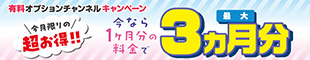 オプションチャンネル