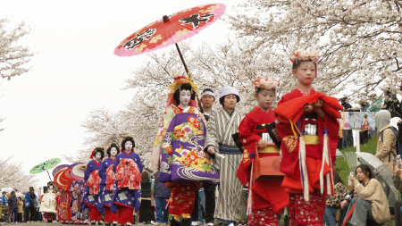 ＃53［新潟県 燕市］つばめ桜まつり 第80回分水おいらん道中