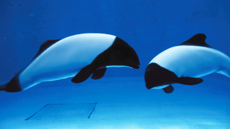 もっと！ 水の惑星紀行