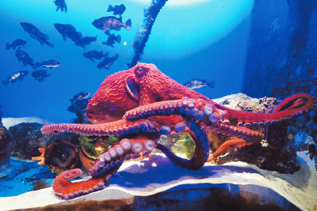 もっと！ 水の惑星紀行